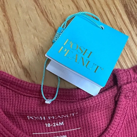 NWT Posh Peanut Burgundy waffle LS toddler Onsie with Tulle Skirt 18-24mo - Picture 3 of 4